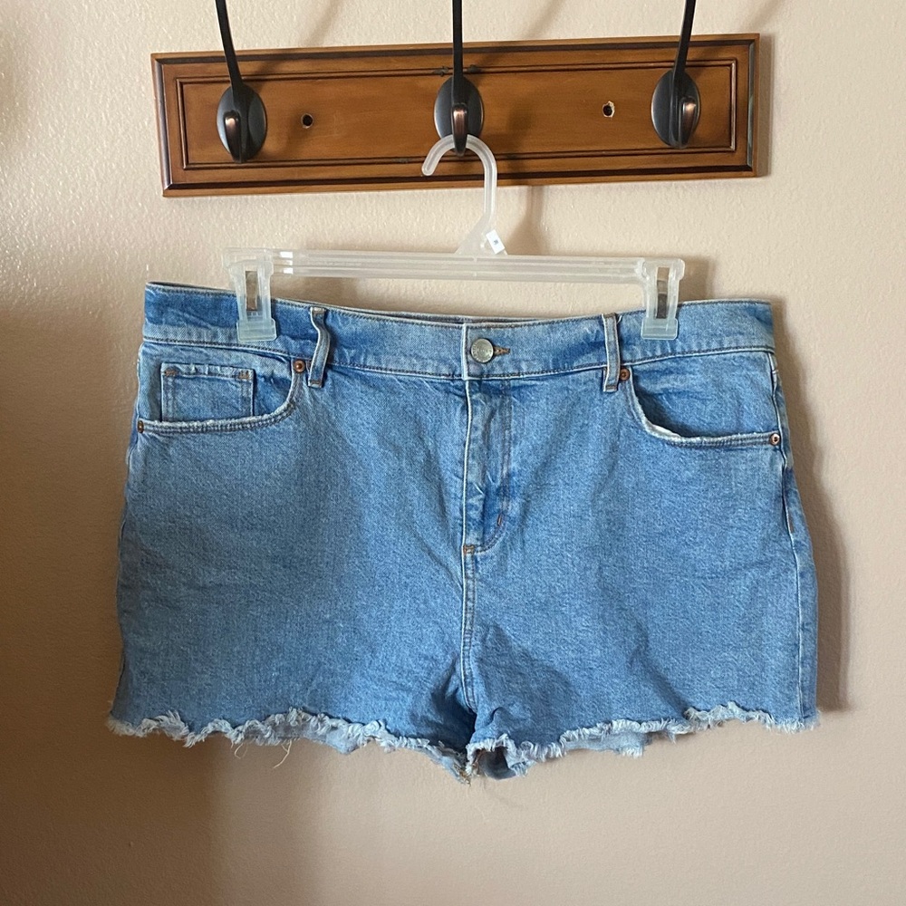 LOFT Light Blue Jean Shorts